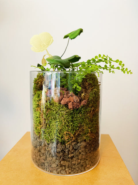 Assorted Tropicals + Moss Terrarium