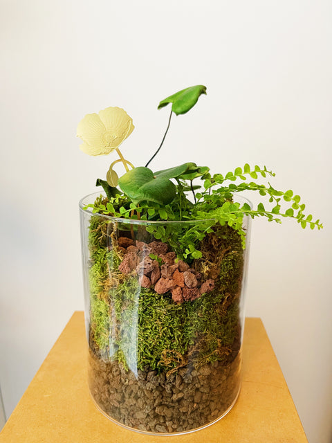 Private Terrarium Building Experience with a Friend or Small Group