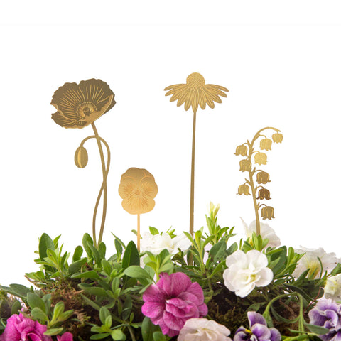 Brass Blooms Garden Botanicals Plant and Terrarium Decorations