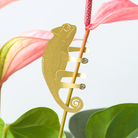 Plant Animal Decoration - Chameleon