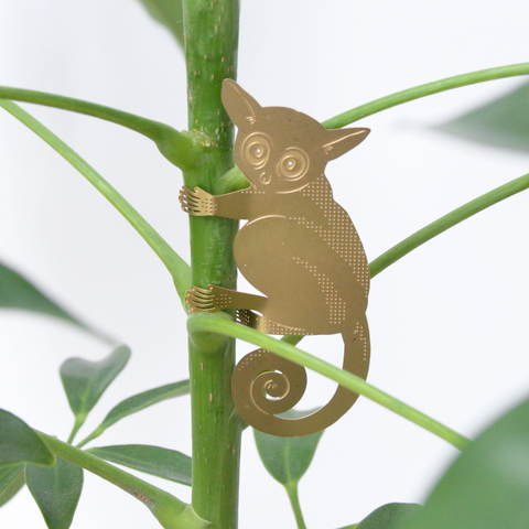 Plant Animal Decoration - Bush Baby