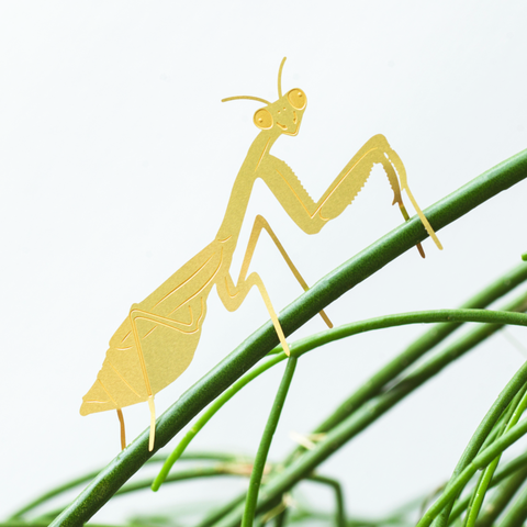 Plant Animal Decoration - Praying Mantis
