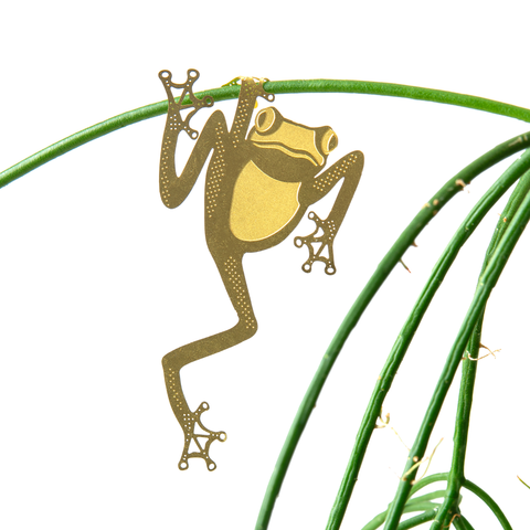 Plant Animal Decoration - Tree Frog
