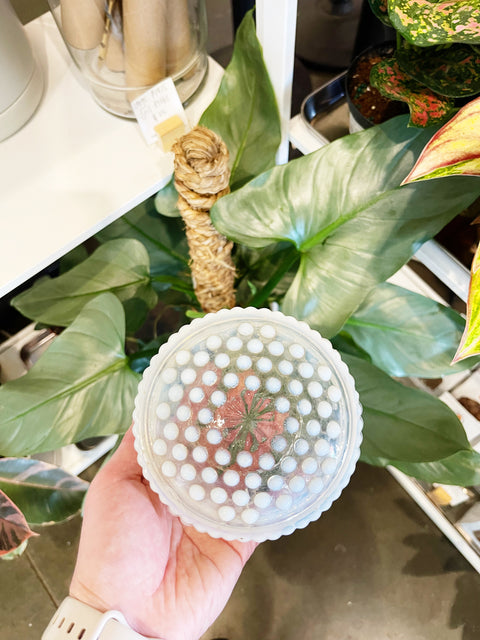 Vintage Fenton Moonstone Hobnail Dish with Lid