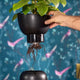 Varick Self Watering Planter