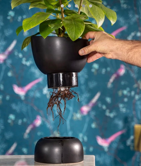 Varick Self Watering Planter