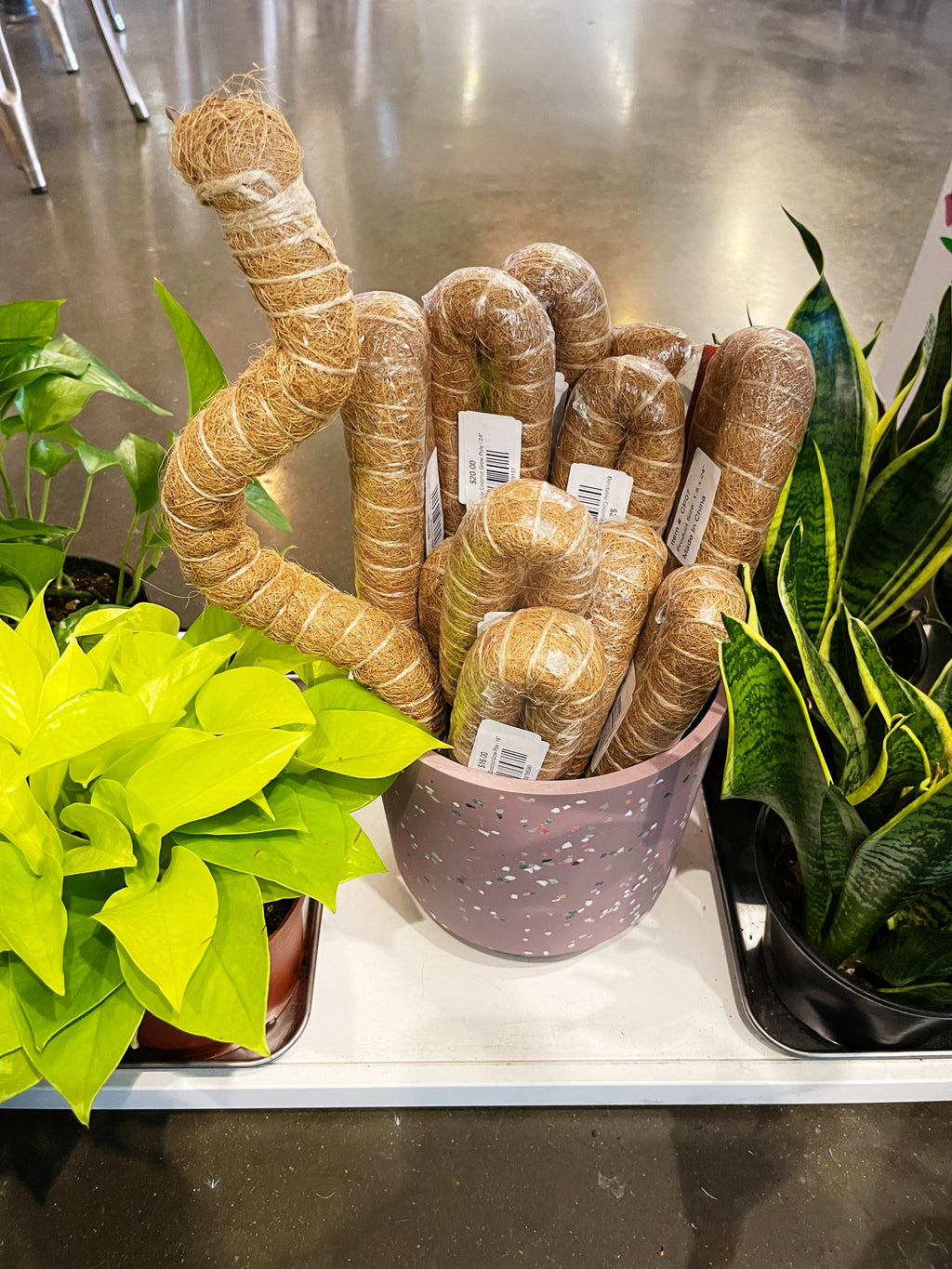 Bendable Coconut Grow Pole Jungle & Loom